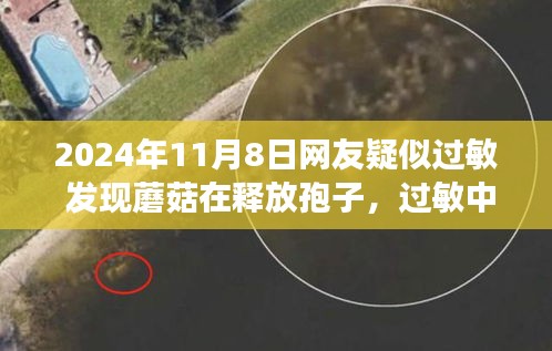 網(wǎng)友過敏遭遇啟示，蘑菇孢子釋放背后的成長與自信之路探索