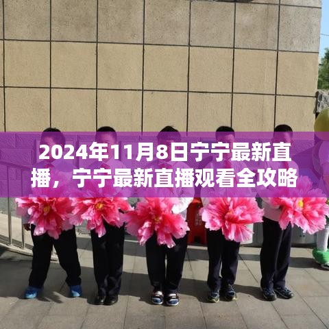 寧寧直播指南，2024年11月8日直播觀看全攻略與入門指南