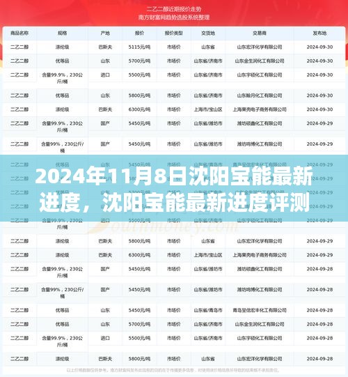 沈陽(yáng)寶能最新進(jìn)度深度解析，產(chǎn)品特性與用戶體驗(yàn)評(píng)測(cè)報(bào)告