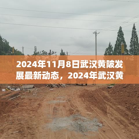 2024年武漢黃陂發(fā)展最新動態(tài)探索，融入區(qū)域發(fā)展大潮的步伐