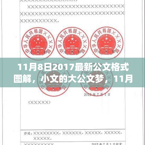11月8日最新公文格式圖解，小文的大公文夢(mèng)與圖解之旅
