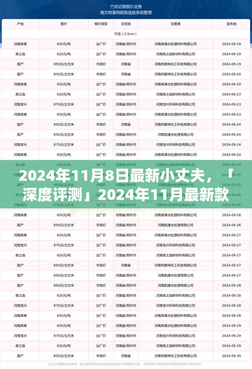深度評測，全方位解析2024年最新款小丈夫產(chǎn)品特性與用戶體驗體驗報告