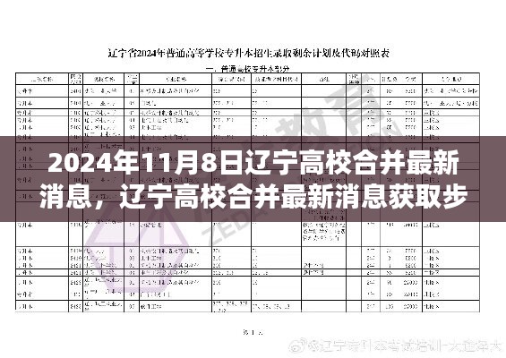 遼寧高校合并最新消息獲取指南，初學者與進階用戶適用，2024年高校合并最新動態(tài)揭秘