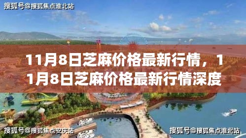 芝麻最新行情解析，多方觀點(diǎn)碰撞與個(gè)人立場(chǎng)闡述