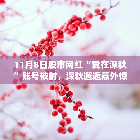 愛在深秋股市網(wǎng)紅賬號被封，與隱秘小巷特色小店深秋邂逅的意外驚喜