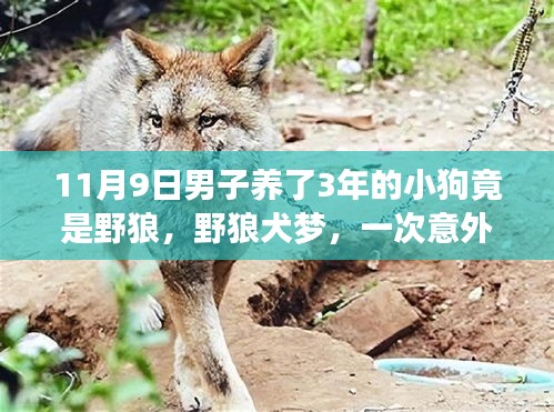 招標(biāo)采購 第209頁