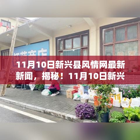 獨(dú)家揭秘，新興縣風(fēng)情網(wǎng)小巷深處的隱藏美食，獨(dú)特小店美味探險(xiǎn)之旅