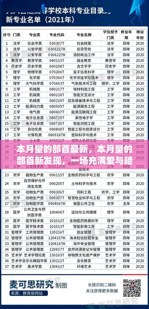 愛與陪伴的奇妙冒險之旅，最新部首發(fā)現(xiàn)揭秘本月量的奧秘