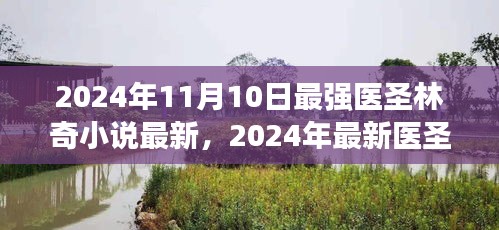 最強醫(yī)圣林奇小說閱讀攻略，獲取最新章節(jié)的實用指南
