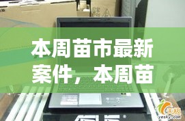 本周苗市熱點揭秘，最新案件動態(tài)全掌握