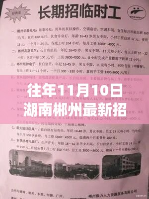 湖南郴州最新招聘信息概覽，往年11月10日求職熱點(diǎn)揭秘