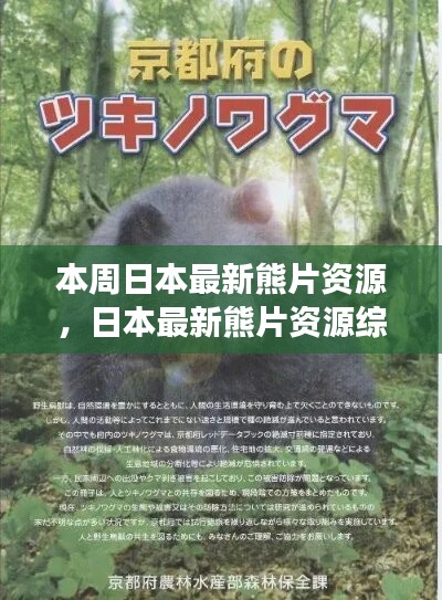 日本最新熊片資源綜述，背景、進(jìn)展與特定領(lǐng)域地位探討