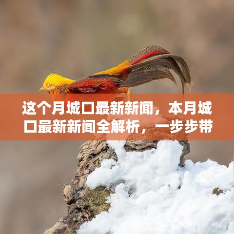 本月城口最新新聞解析，掌握獲取新聞資訊的技能