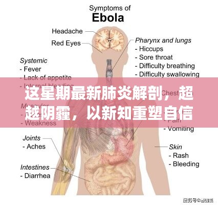 超越陰霾，最新肺炎解剖啟示錄，重塑信心與新知的探索