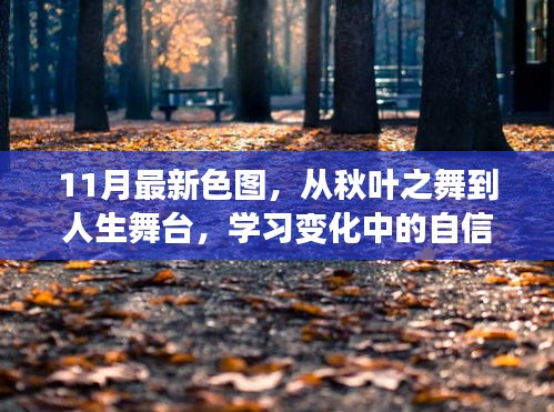 11月新色彩繪人生，從秋葉之舞到自信成就的舞臺