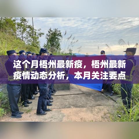梧州最新疫情動(dòng)態(tài)解析，本月關(guān)注要點(diǎn)及最新動(dòng)態(tài)解讀