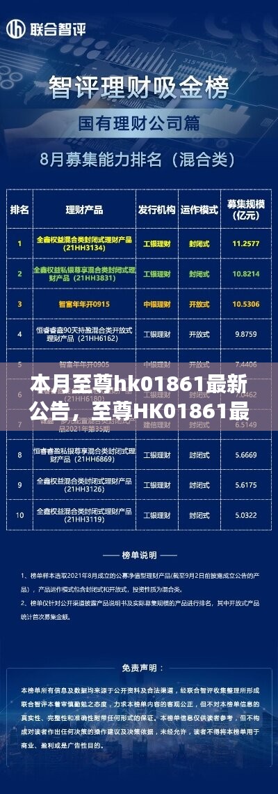 至尊HK01861最新公告揭秘，背景、重大事件與領(lǐng)域地位的回顧與展望