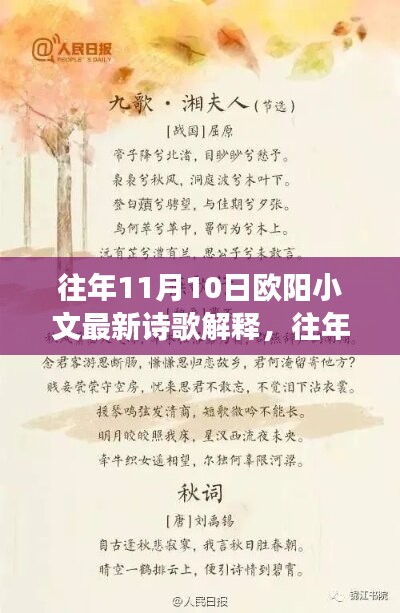 歐陽小文詩歌解析，詩意深度解讀與情感探索——往年11月10日詩歌解讀分享