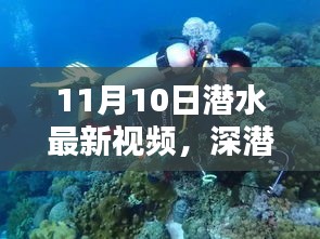 揭秘深潛新紀(jì)元，潛水最新視頻的時代意義與影響（11月10日更新）