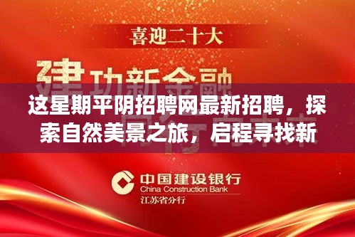 平陰招聘網(wǎng)更新，探索自然美景與尋找新工作的和諧之旅