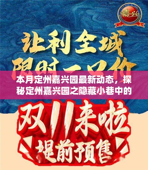 本月定州嘉興園最新動態(tài)，探秘隱藏小巷的獨特風(fēng)味——新鮮打卡指南