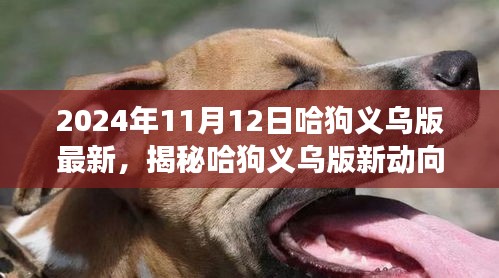 揭秘哈狗義烏版新動向，深度解讀與最新動態(tài)（2024年11月12日）