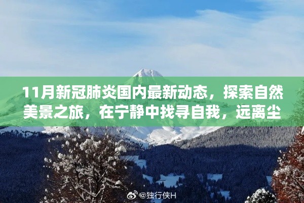 11月新冠肺炎國內(nèi)最新動態(tài)，探索自然美景，寧靜中找尋自我，迎接抗疫新篇章的旅行體驗