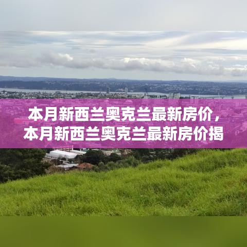 新西蘭奧克蘭最新房?jī)r(jià)揭秘，投資與居住的新熱點(diǎn)本月動(dòng)態(tài)分析