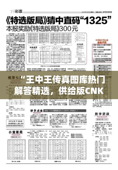 “王中王傳真圖庫(kù)熱門解答精選，供給版CNK575.39”