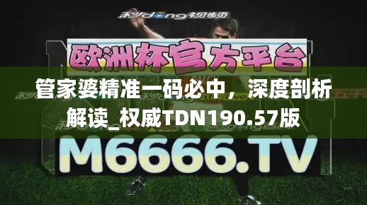 管家婆精準(zhǔn)一碼必中，深度剖析解讀_權(quán)威TDN190.57版