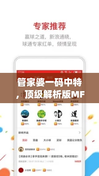 管家婆一碼中特，頂級解析版MFX684.42公開解析