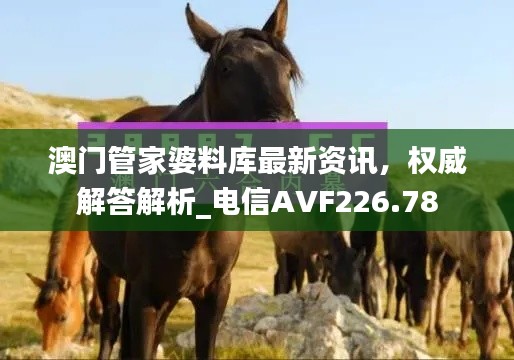 澳門管家婆料庫最新資訊，權(quán)威解答解析_電信AVF226.78