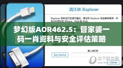 夢幻版AOR462.5：管家婆一碼一肖資料與安全評(píng)估策略