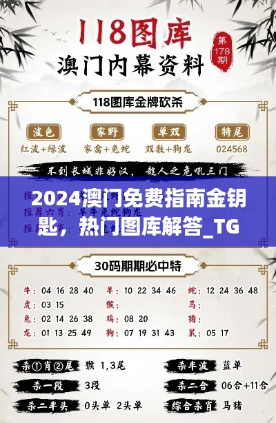 2024澳門免費(fèi)指南金鑰匙，熱門圖庫解答_TGV731.28原創(chuàng)版
