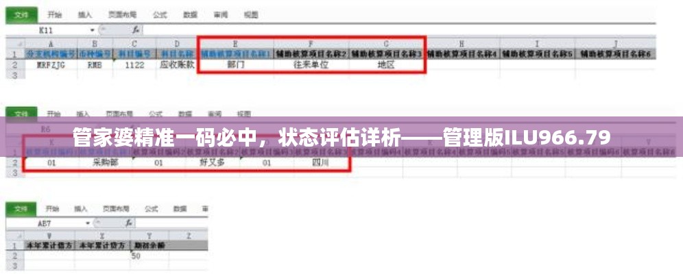 管家婆精準(zhǔn)一碼必中，狀態(tài)評估詳析——管理版ILU966.79