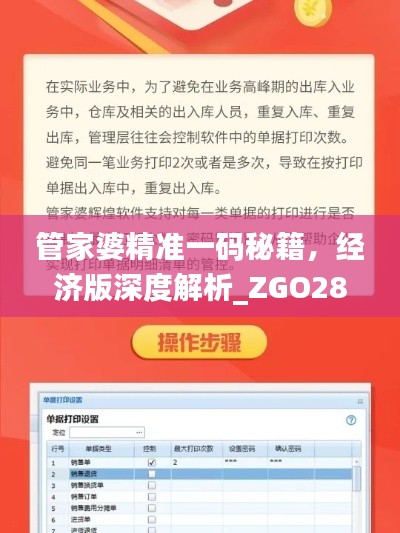 管家婆精準(zhǔn)一碼秘籍，經(jīng)濟(jì)版深度解析_ZGO289.56