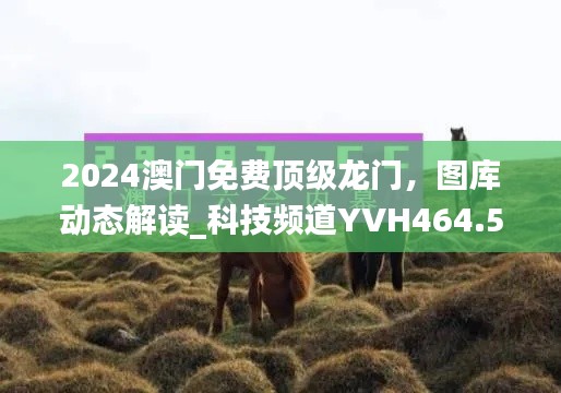 2024澳門免費(fèi)頂級(jí)龍門，圖庫(kù)動(dòng)態(tài)解讀_科技頻道YVH464.54