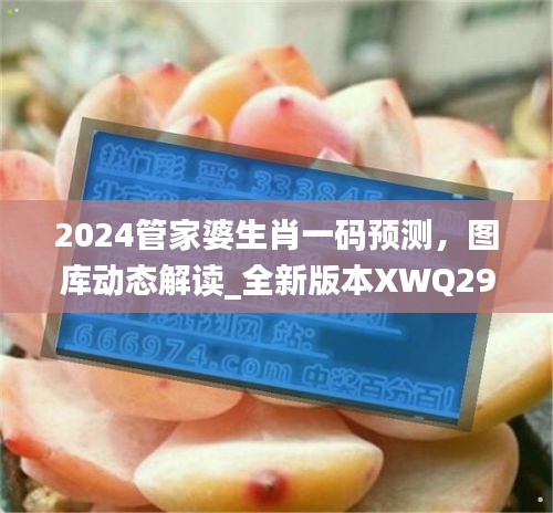 2024管家婆生肖一碼預測，圖庫動態(tài)解讀_全新版本XWQ290.47