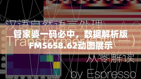管家婆一碼必中，數(shù)據(jù)解析版FMS658.62動(dòng)圖展示