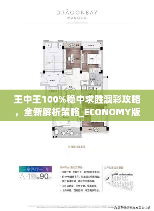 王中王100%穩(wěn)中求勝澳彩攻略，全新解析策略_ECONOMY版ANL510.67