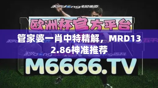 管家婆一肖中特精解，MRD132.86神準(zhǔn)推薦