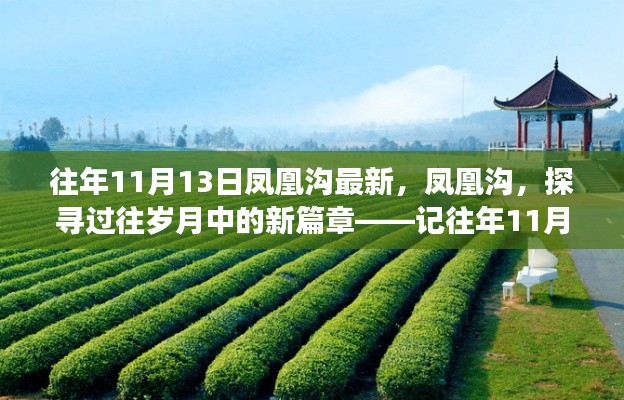 鳳凰溝探尋歲月變遷，往年11月13日的最新篇章