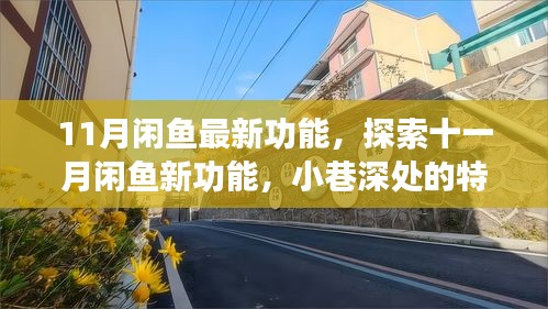 探索閑魚最新功能，十一月特色小店深度體驗與發(fā)現(xiàn)