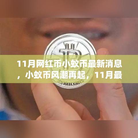 11月小蟻幣風(fēng)潮再燃，最新動態(tài)與深度解讀