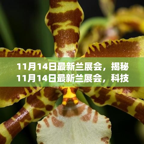 揭秘最新蘭展會(huì)，科技革新引領(lǐng)未來(lái)生活風(fēng)采展盛大開(kāi)幕