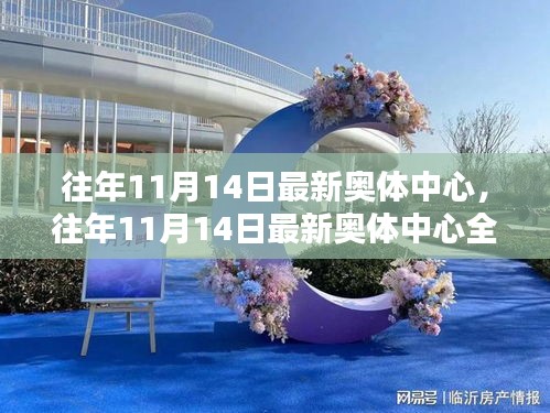 往年11月14日奧體中心全面評測與介紹，最新動態(tài)及場館特色展示