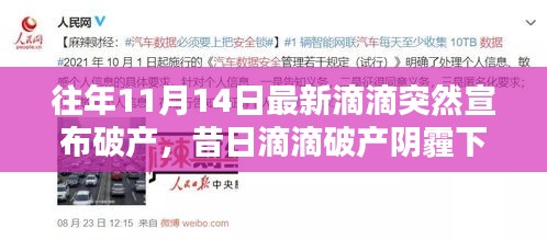 昔日滴滴破產(chǎn)陰霾下，自然綠洲的心靈庇護(hù)所