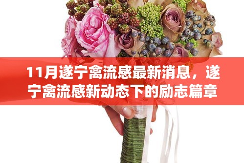 遂寧禽流感最新動態(tài)下的勵志篇章，變化中的學習成就自信之源