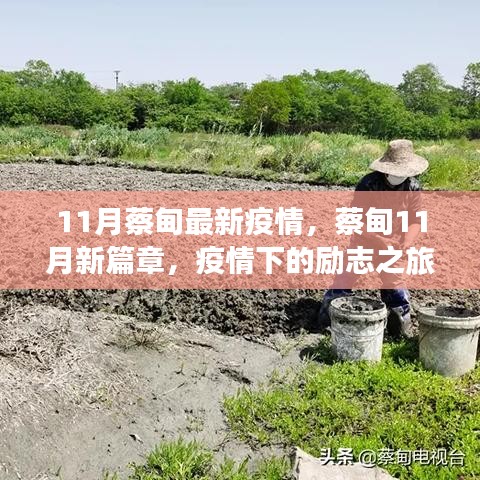 蔡甸11月疫情新篇章，勵(lì)志之旅展現(xiàn)自信與成就之光