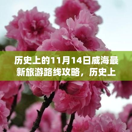 歷史上的11月14日威海旅游路線全新攻略，最新旅游路線探索